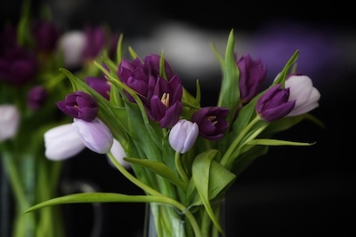 Link für Großansicht Laden - Pos. 8